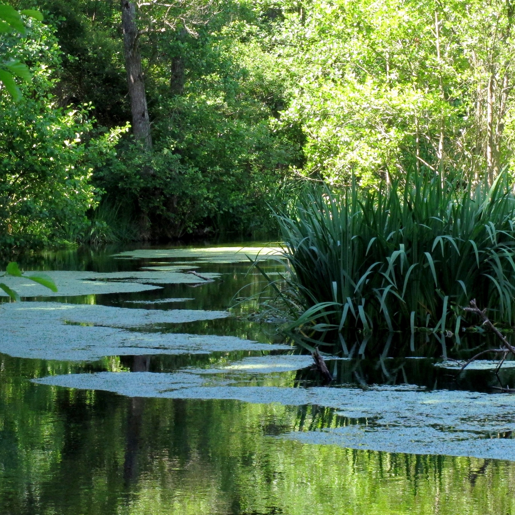 Moulin-Rouge, site d'Eure-et-Loire du Conservatoire d'espaces naturels Centre-Val de Loire