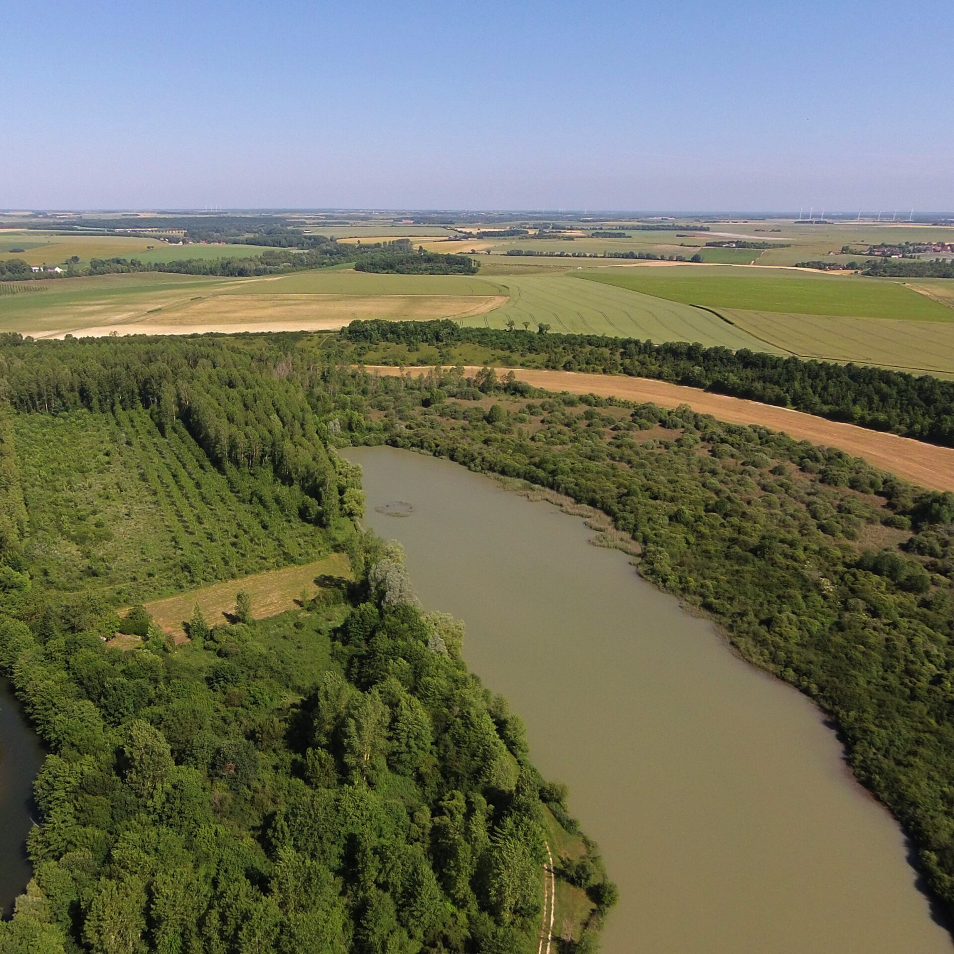Marais de Roussy, Indre (36).