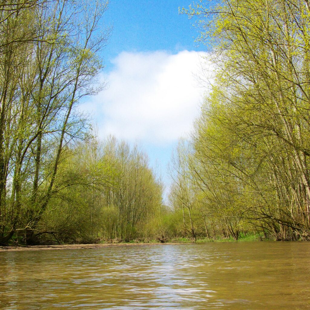 Guilly site du Loiret préservé par le Conservatoire d'espaces naturels Centre-Val de Loire