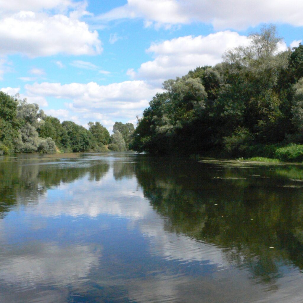 Site des Sablons de Corquoy dans le Cher