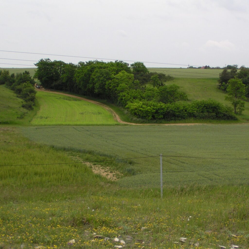 Les Hauts de Lapan, Cher (18), site préservé par le Conservatoire d'espaces naturels Centre-Val de Loire