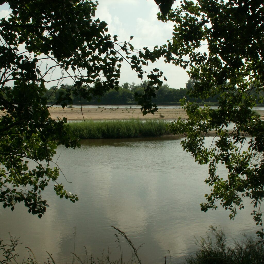 Îles de Bonny, site d'Indre-et-Loire, préservé par le Conservatoire d'espaces naturels Centre-Val de Loire