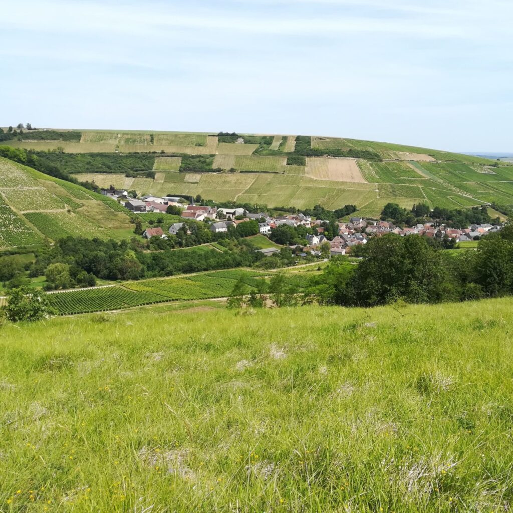 Les luneaux, Cher (18), site préservé par le Conservatoire d'espaces naturels Centre-Val de Loire