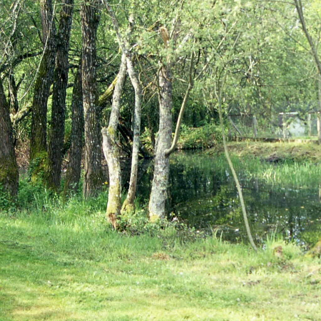 La Mare des Bruères, Cher (18), site préservé par le Conservatoire d'espaces naturels Centre-Val de Loire