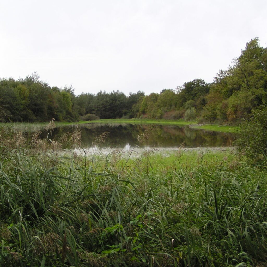 Moronville, site d'Eure-et-Loir