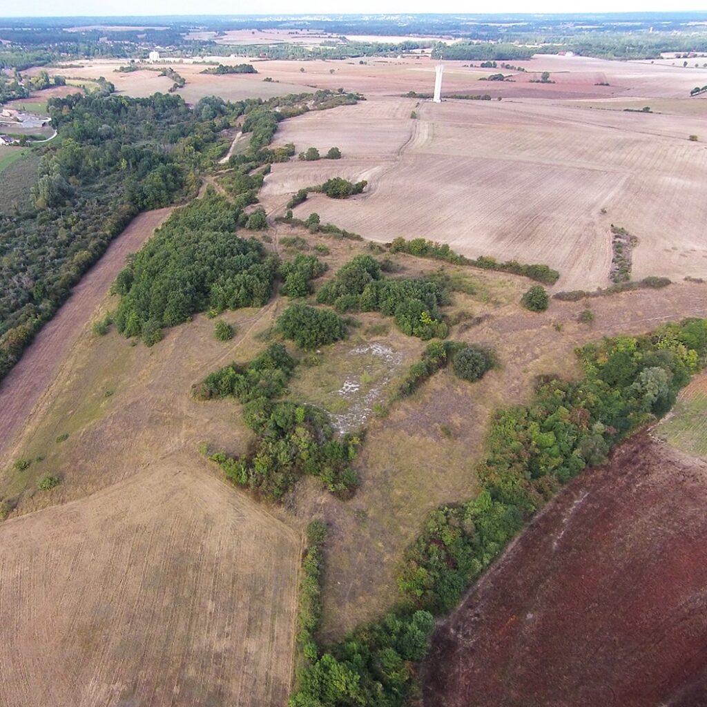 Les Pelouses de Grand Vau, Cher (18), site préservé par le Conservatoire d'espaces naturels Centre-Val de Loire