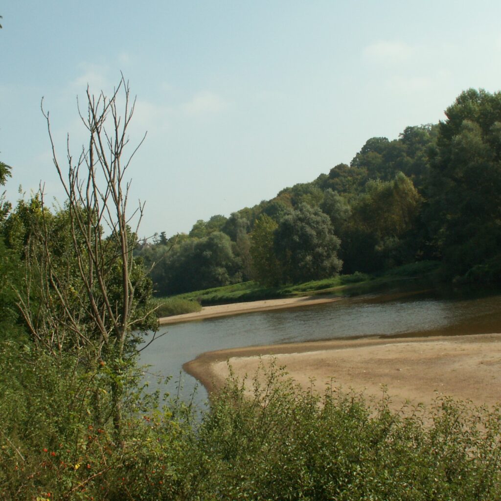 Le Pont, Cher (18), site préservé par le Conservatoire d'espaces naturels Centre-Val de Loire