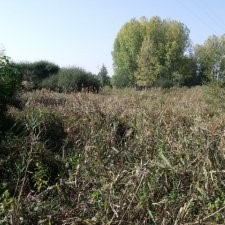 Prairies de Vaux, site de l'Indre