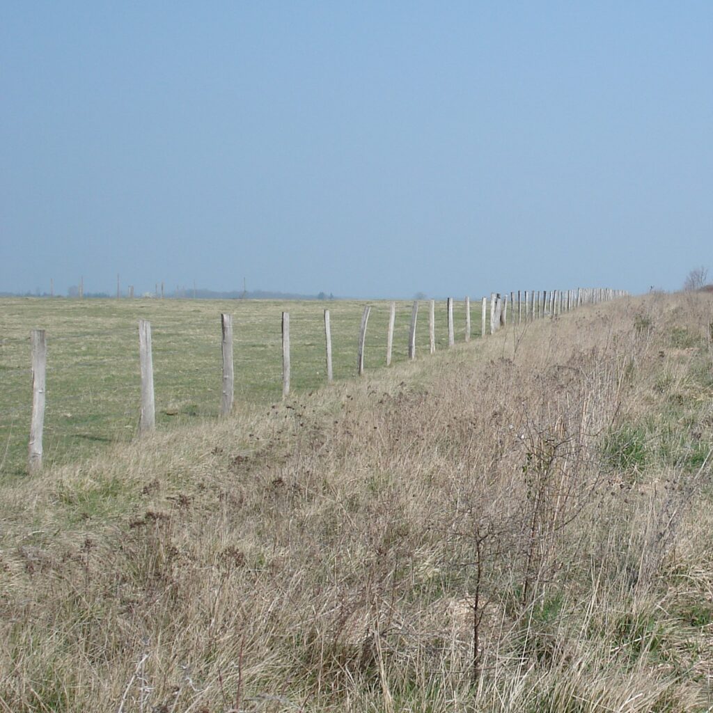 Les Terres de l'Ormes, Cher (18), site préservé par le Conservatoire d'espaces naturels Centre-Val de Loire