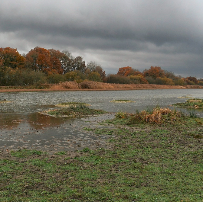 Etang de Beaumont, site du Loir-et-Cher, préservé par le Conservatoire d'espaces naturels Centre-Val de Loire