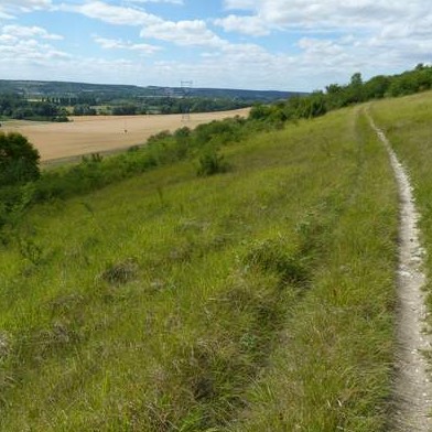 Côte de Nantilly, site d'Eure-et-Loir