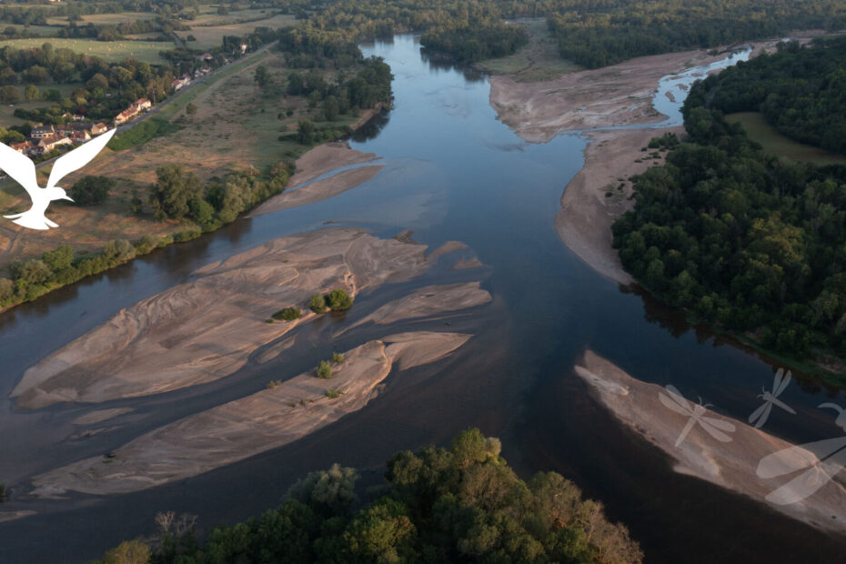 Bec d'Allier, image d'accueil du site du Conservatoire d'espaces naturels Centre-Val de Loire