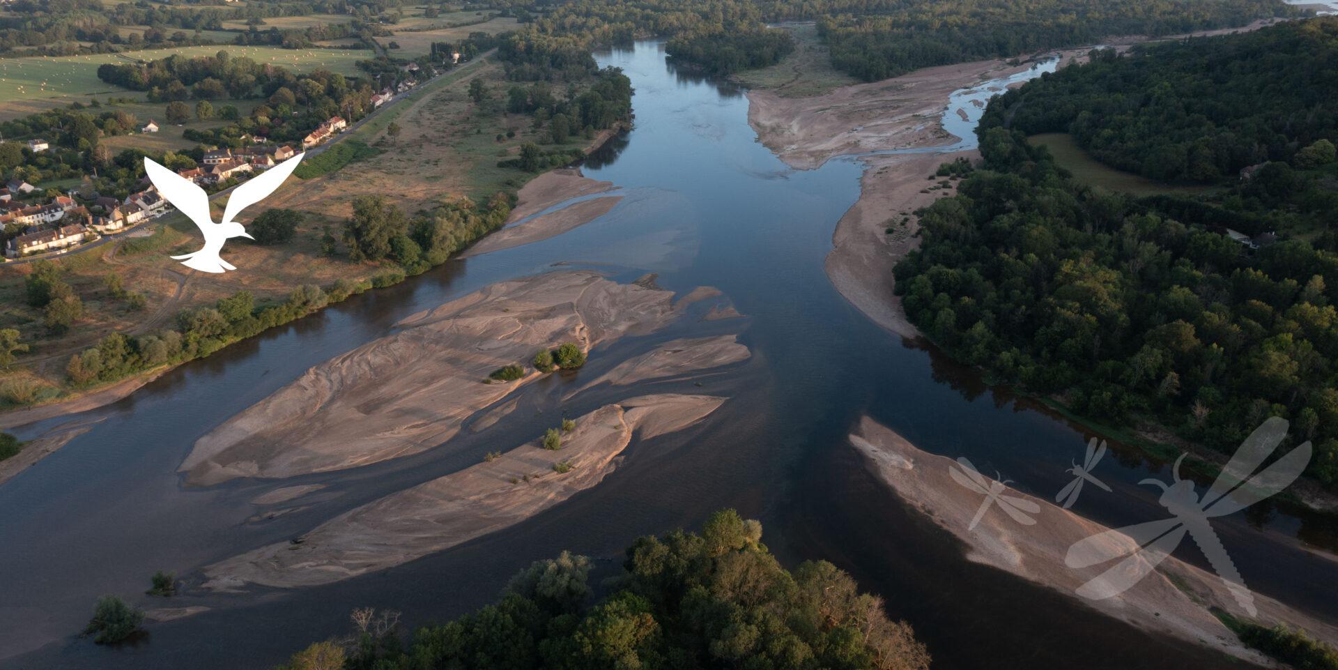 Bec d'Allier, image d'accueil du site du Conservatoire d'espaces naturels Centre-Val de Loire