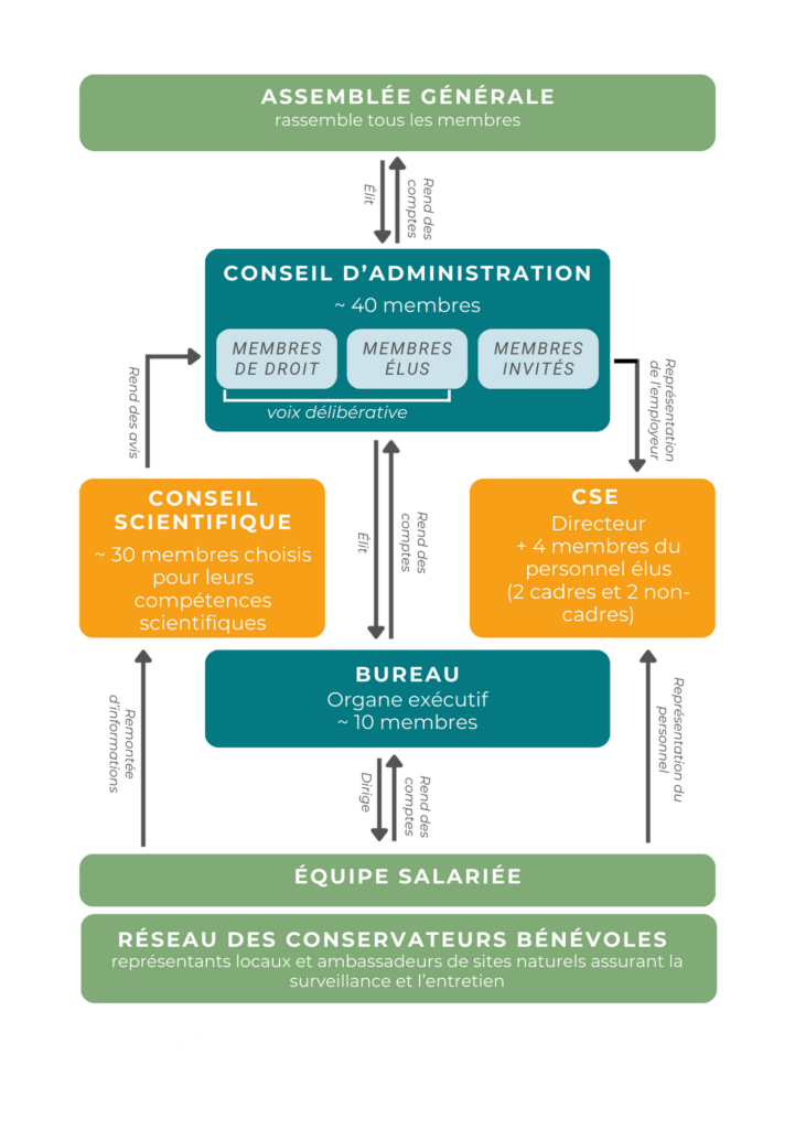 Organigramme du Conservatoire