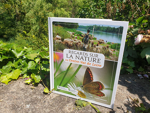 Livre « Regards sur la nature en Centre-Val de Loire » posé sur un rocher en pleine nature.