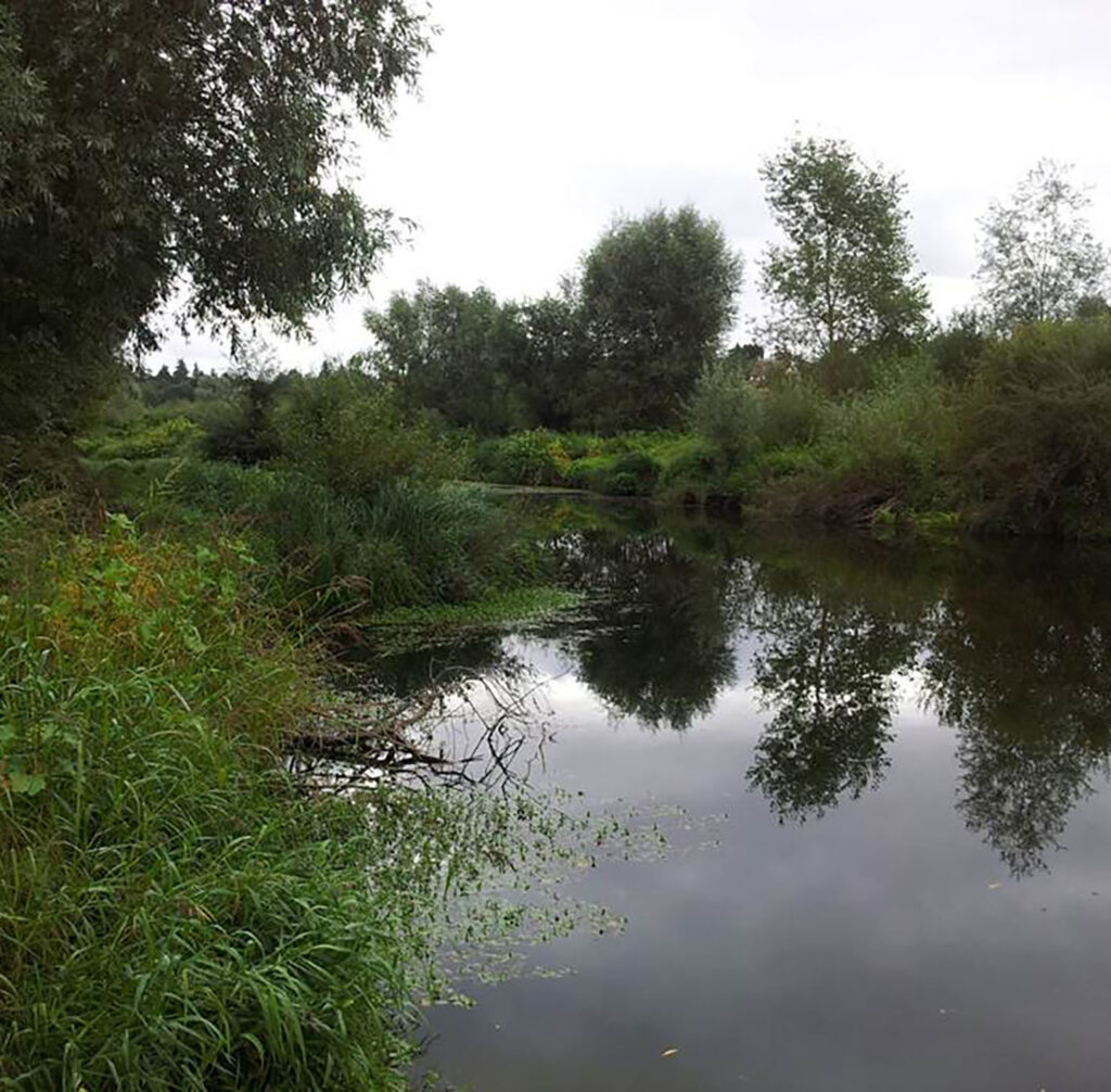 la Petite Loire de Loir-et-Cher