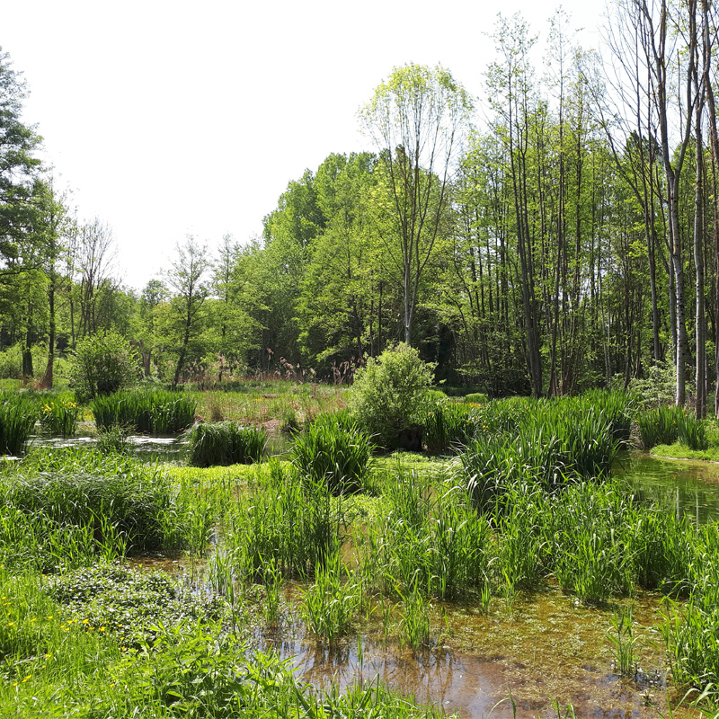 Vallée de Solvins