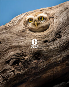 1fortheplanet_2