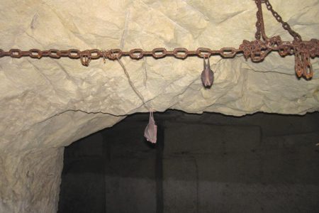 Cave_Puy-aux-Boeufs Cave_Puy-aux-Boeufs