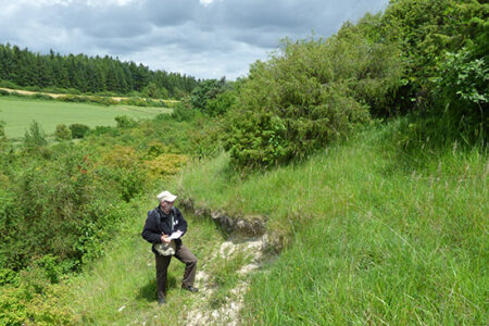 CoteCharpont_BA2020