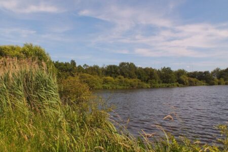 Etang_Masse_ClovisGenuy