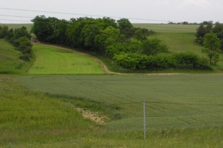 Les Hauts de Lapan, Cher (18), site préservé par le Conservatoire d'espaces naturels Centre-Val de Loire