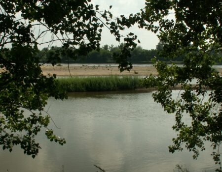 Îles de Bonny, site d'Indre-et-Loire, préservé par le Conservatoire d'espaces naturels Centre-Val de Loire