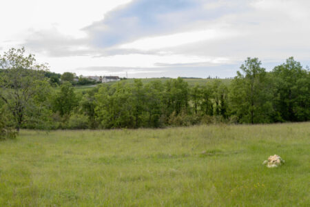 Panorama de l'Eperon Murat, site préservé par le Conservatoire d'espaces naturels Centre-Val de Loire