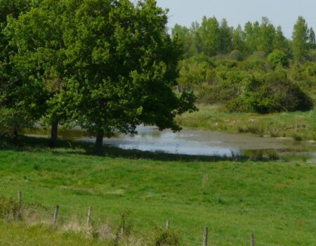 Plaine_Villaine34_mai08_IG Plaine_Villaine34_mai08_IG