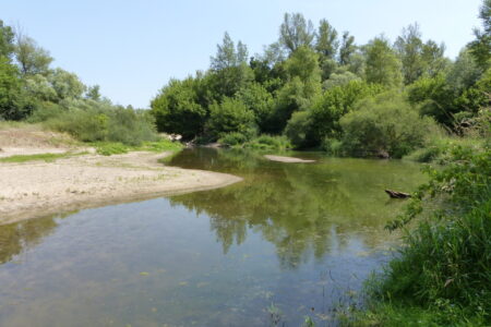 Les Saulières, site du Val d'Herry, Cher (18), site préservé par le Conservatoire d'espaces naturels Centre-Val de Loire