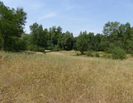Saulieres_RNVL_TerrainVal_170622_IG (73) Saulières de la Réserve Naturelle Régionale Centre-Val de Loire