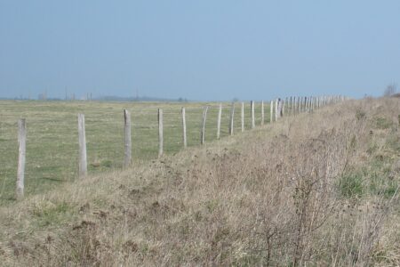 Les Terres de l'Ormes, Cher (18), site préservé par le Conservatoire d'espaces naturels Centre-Val de Loire