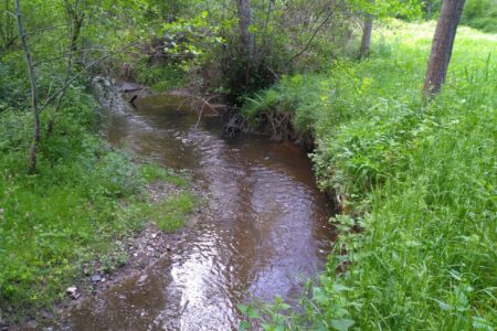Vallée_Clavière_AV_2023_05_16 (25)