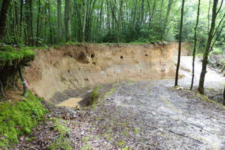 chaudon_bois_de_gilles_fosses_160616_BA_4_bd