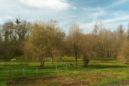 etang_isle etang_isle