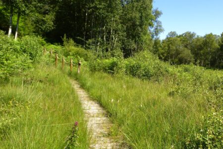 Tourbière et Marais