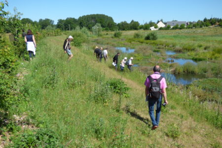 val_de_choisille_ENS_visite_CA_170610_BA (28) Balade nature au Val de Choisille, site préservé par le Conservatoire d'espaces naturels Centre-Val de Loire