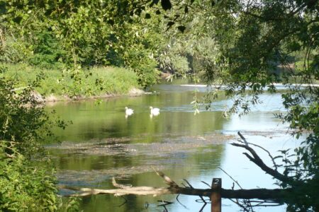 L'Île Marie, Cher (18), site préservé par le Conservatoire d'espaces naturels Centre-Val de Loire